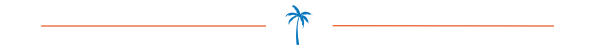 page divider image with palm tree icon in center