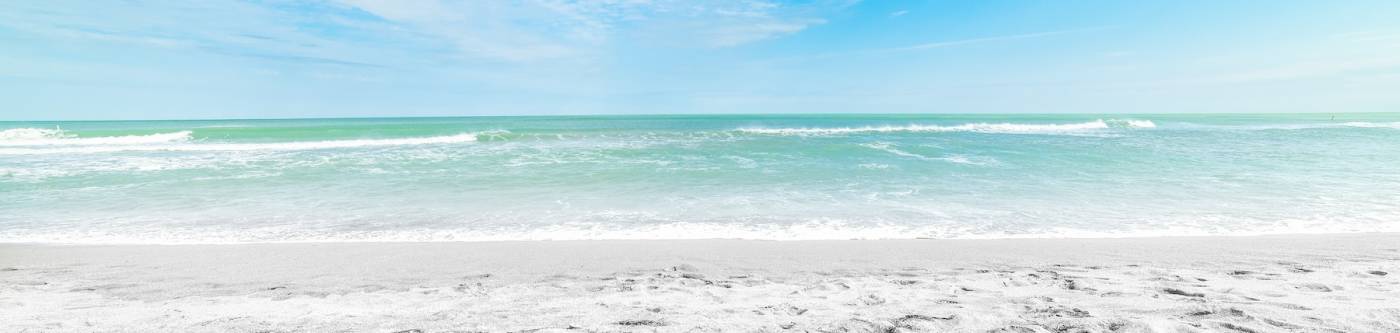 beach in siesta key